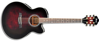 AEL20E Ibanez Wiki Fandom