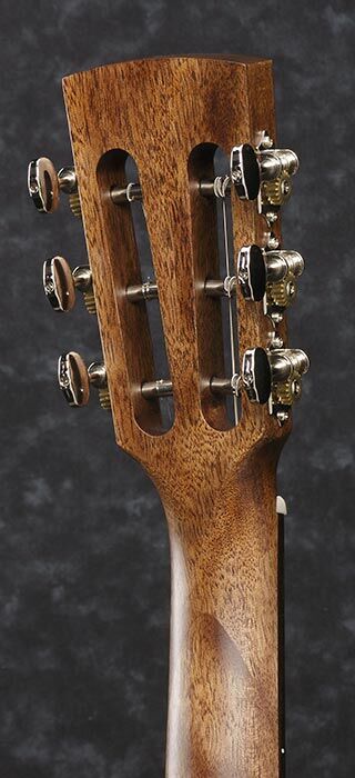 Ibanez avn9 2025
