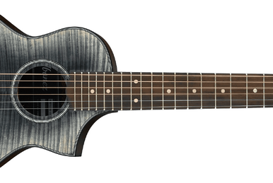 EWP13 | Ibanez Wiki | Fandom