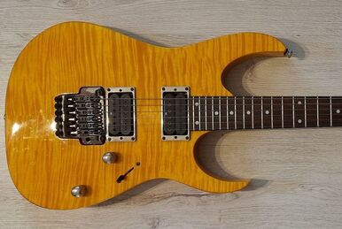 Ibanez rgt42dxfm deals
