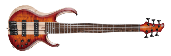BTB20th6 Ibanez Wiki Fandom