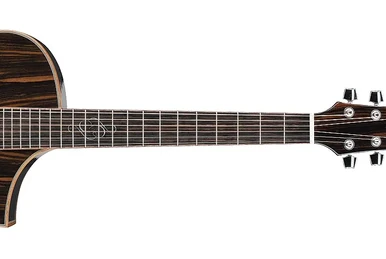 AEW23ZW | Ibanez Wiki | Fandom
