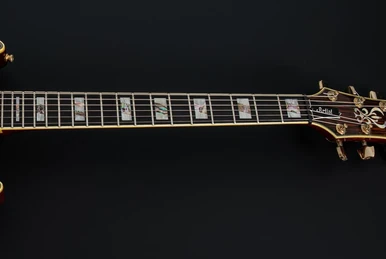 RG721MFMA | Ibanez Wiki | Fandom