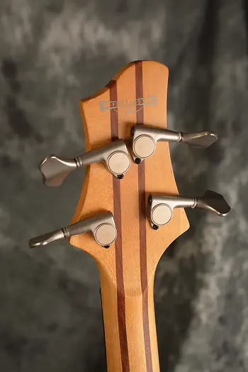 BTB1000 headstock rear