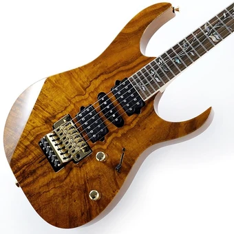 IKRG85703 | Ibanez Wiki | Fandom