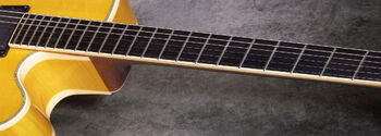【希少/帯あり】THE ENCYCLOPEDIA OF JAZZ GUITAR The Year Series '78 Century (Six String) and '78 Heritage