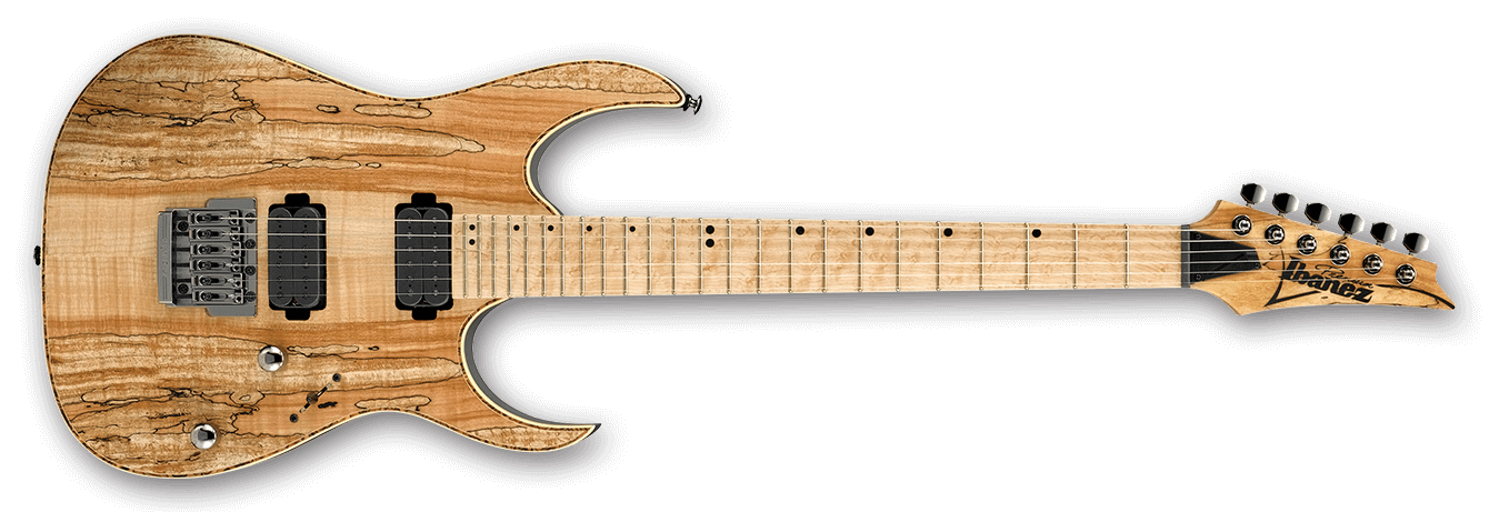 RG721MSM | Ibanez Wiki | Fandom