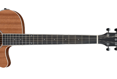 ART120QA | Ibanez Wiki | Fandom