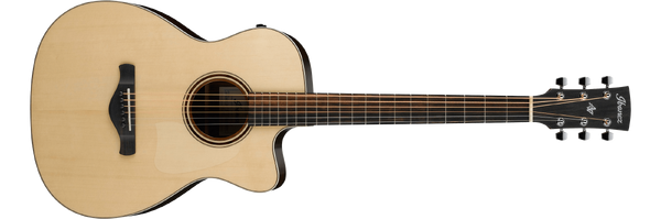 Ibanez fingerstyle deals
