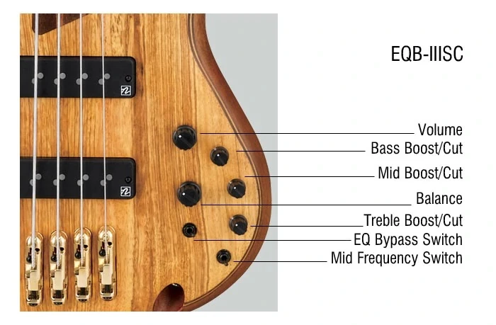 SR5XXV | Ibanez Wiki | Fandom