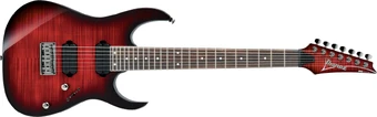 RG7321FM | Ibanez Wiki | Fandom