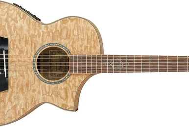 AEW23ZW | Ibanez Wiki | Fandom