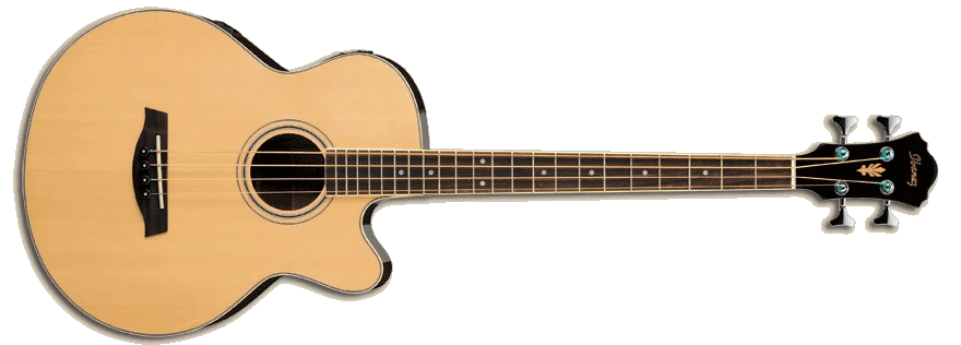 Ibanez aeb5 Clearance