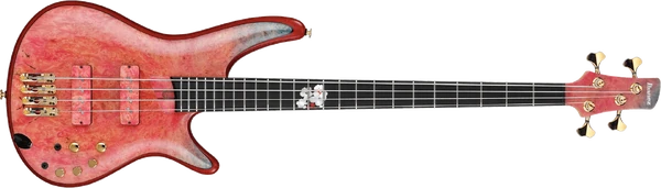 JPCS28 (2022)