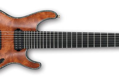 RGA8QM | Ibanez Wiki | Fandom