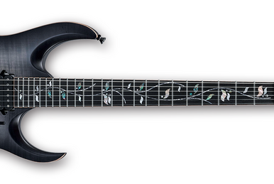 RGT6EX | Ibanez Wiki | Fandom