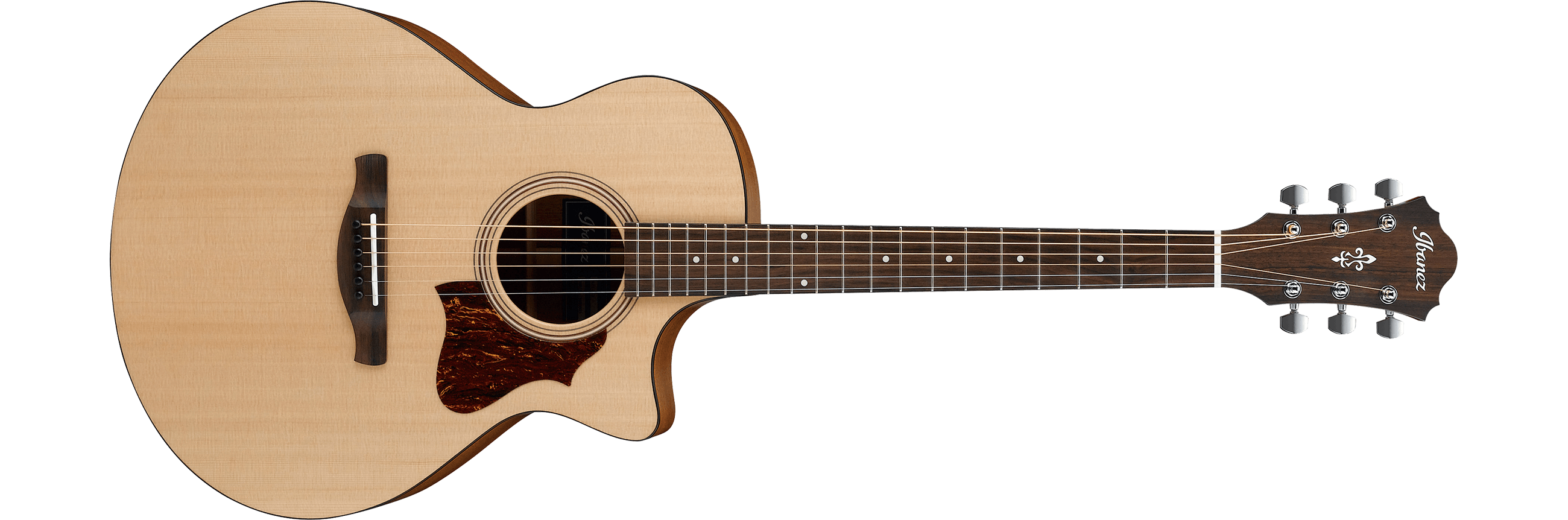 Ibanez AE110EDVS1201 アコースティックベース AE1 | Ibanez Wiki | Fandom