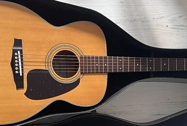 PF14JR | Ibanez Wiki | Fandom