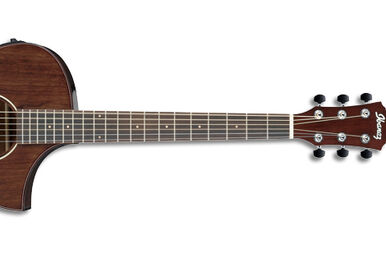 AEW21VK | Ibanez Wiki | Fandom