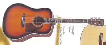 PF300 (1998) | Ibanez Wiki | Fandom