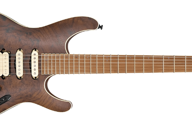 SEW761CW Ibanez Wiki Fandom