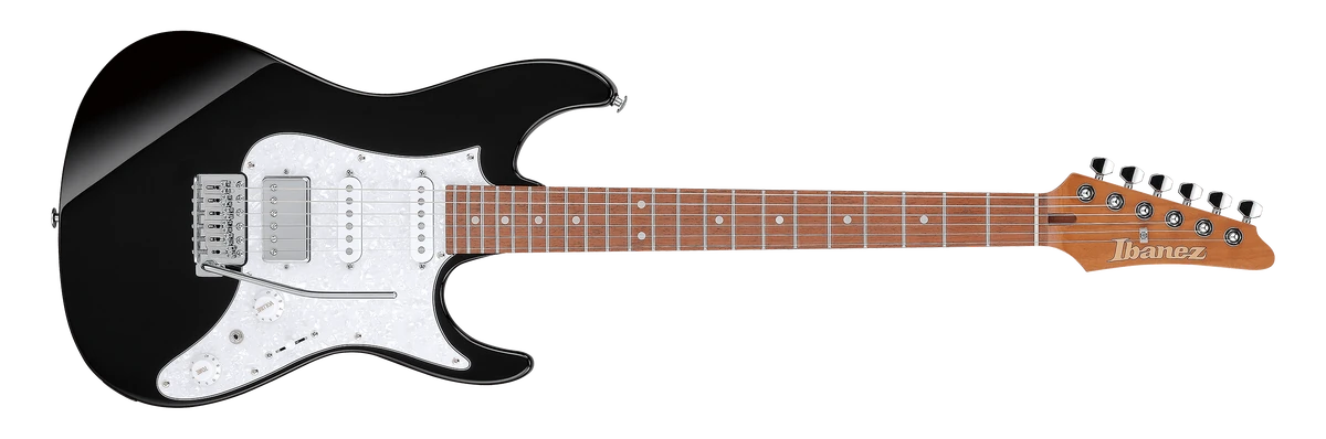 SHAZNA★NIY★ピック★ベース★アコースティックギター★シャズナ★IZAM SHAZNA☆NIY☆ピック☆ベース☆アコースティックギター