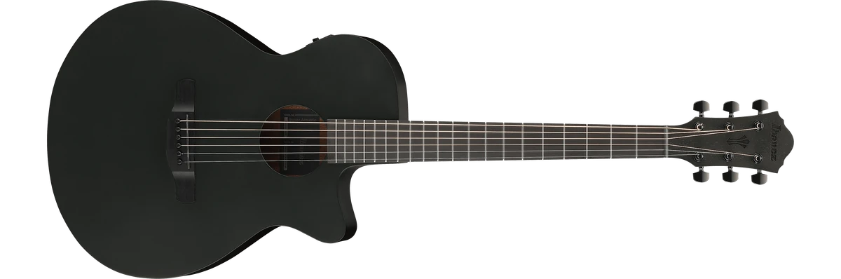 AEG621 | Ibanez Wiki | Fandom