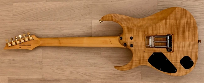 HRG2001 | Ibanez Wiki | Fandom