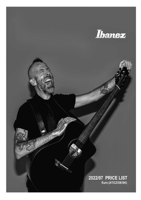 Ibanez shop price list