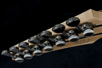 Gotoh SG381 Ibanez Wiki Fandom