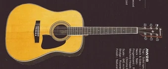 極上美品　弾き語りしようぜ！Ibanez Artwood AW50ECE NT AW28 (1986–1990) | Ibanez Wiki | Fandom