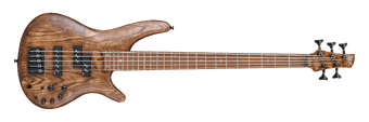 Ibanez sr655 abs deals