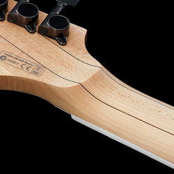 Ibanez fandom hot sale