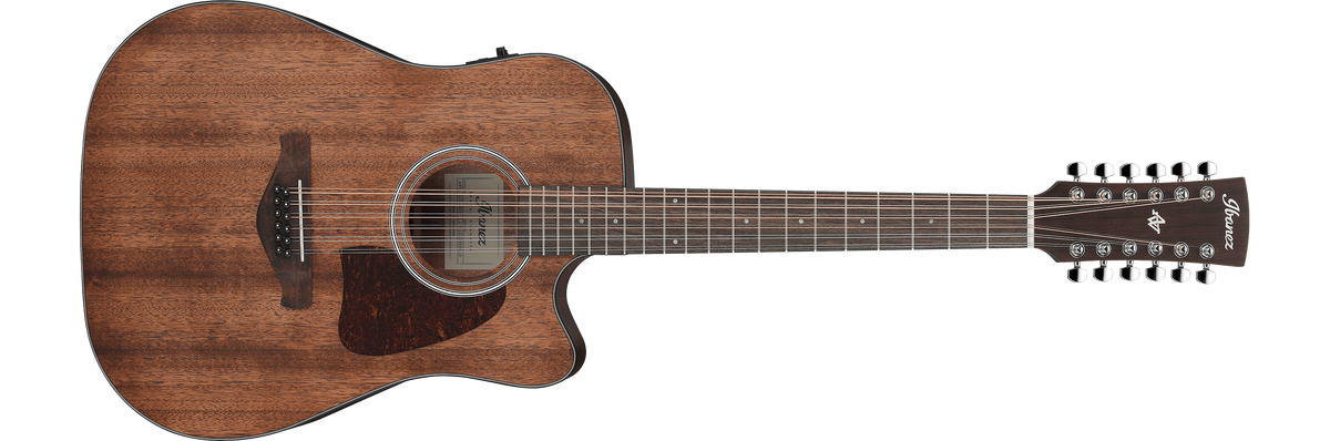Ibanez aw54ce 12 discount