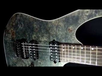 RG921WBB | Ibanez Wiki | Fandom