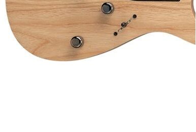 RGT42FX (2003–2004) | Ibanez Wiki | Fandom