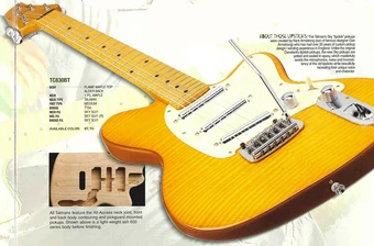 TC830FM | Ibanez Wiki | Fandom