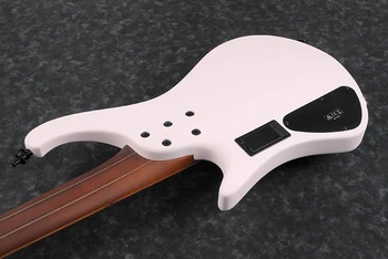 2021 EHB1005MS PPM 1P 01 back