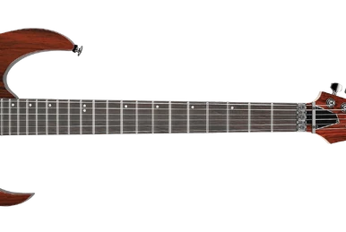 Ibanez RGR621XEBC (改造品) RGR621XEBC | Ibanez Wiki | Fandom