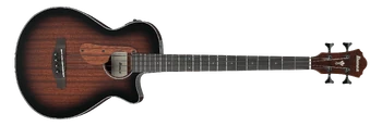 AEGB24E | Ibanez Wiki | Fandom