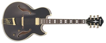 PM100 | Ibanez Wiki | Fandom
