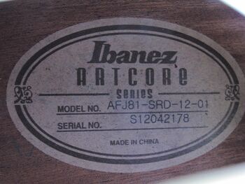 Ibanez afj81 discount