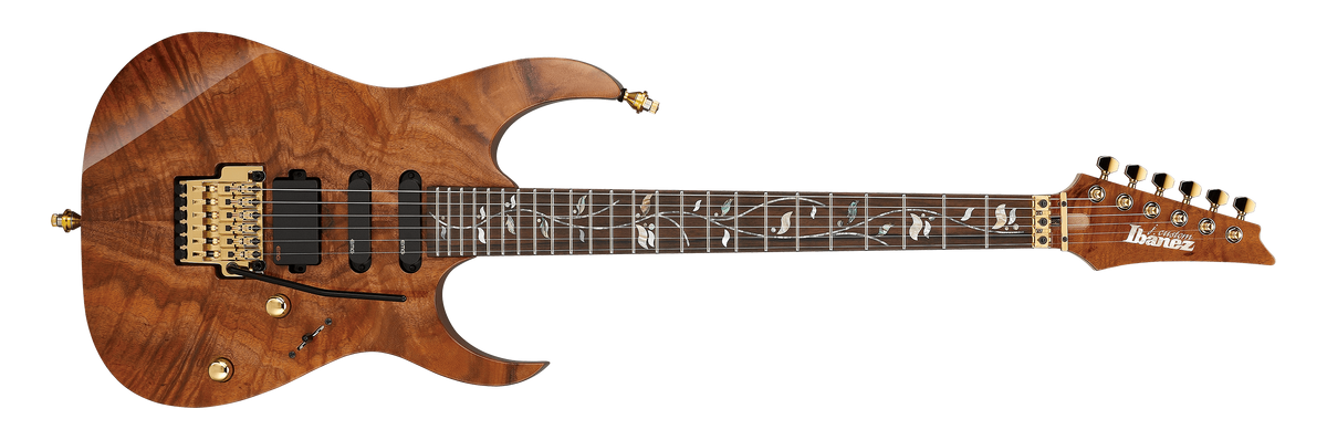 RG8560KE | Ibanez Wiki | Fandom