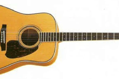 Ibanez アイバニーズ アコースティックギター ヴィンテージ 645 1200?cb=20230830075718