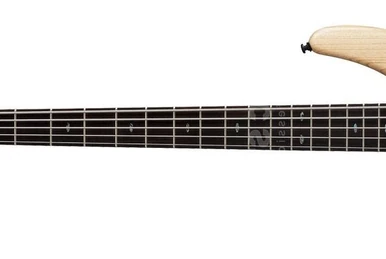 RG621 | Ibanez Wiki | Fandom