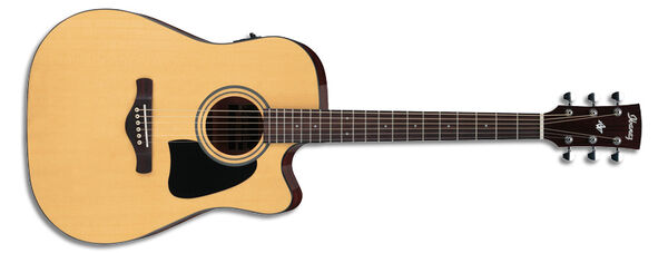 IBANEZ AW20 acoustic guitars