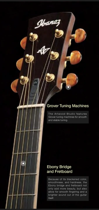 AWS1000ECE | Ibanez Wiki | Fandom