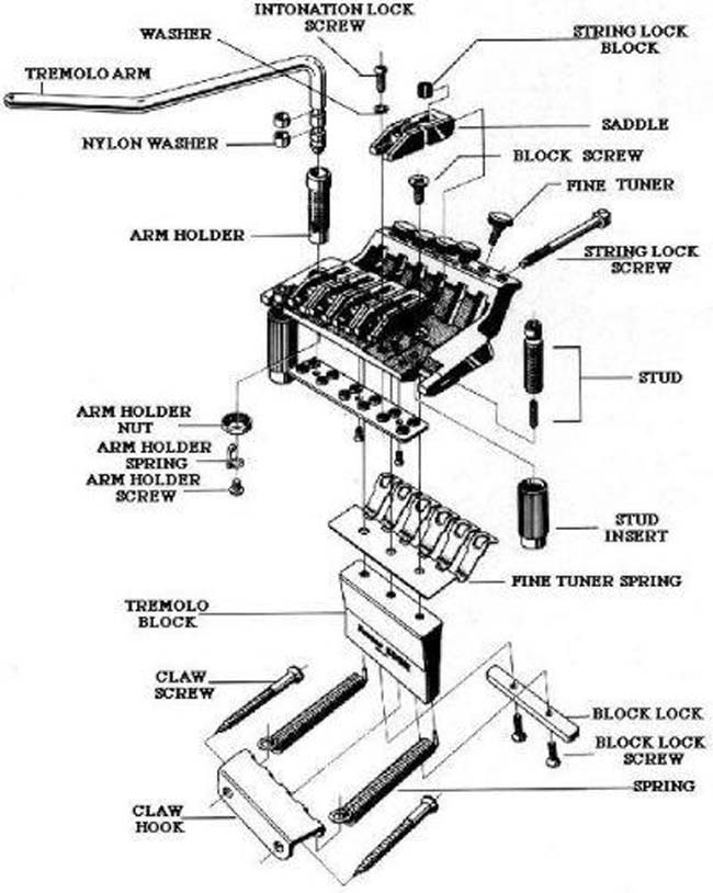 https://static.wikia.nocookie.net/ibanez/images/b/b4/Edge_diagram.jpg/revision/latest?cb=20180523021326