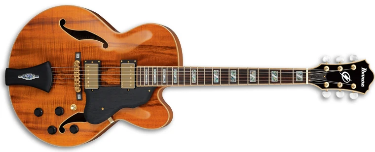 akoko_renren Ibanez Artcore Series AF75G Hollowbody Electric Guitar Flat