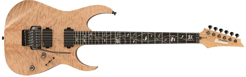 RG8520ZE | Ibanez Wiki | Fandom